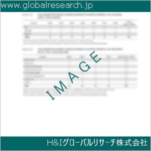 グローバルリサーチ調査資料のイメージ
